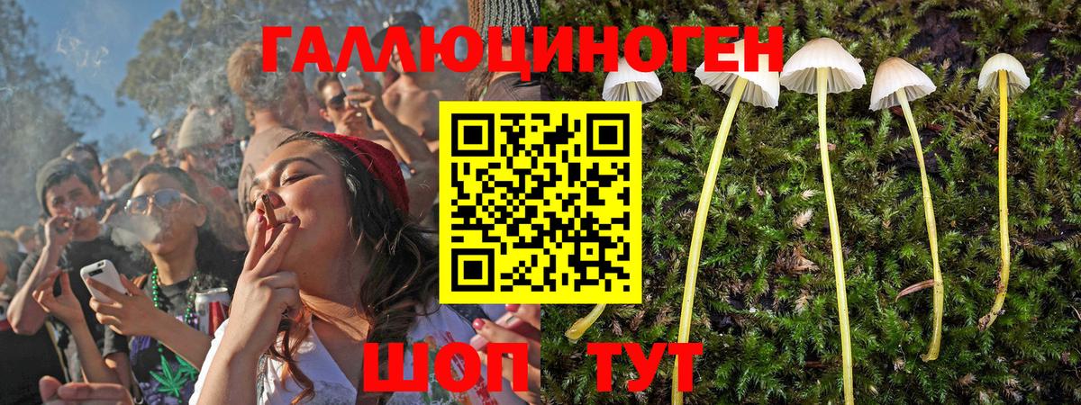 купить  сайты  Псилоцибиновые грибы прущие грибы  Вход с VPN  Белорецк 